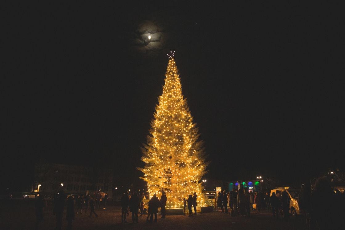 Lit Christmas tree on the Green