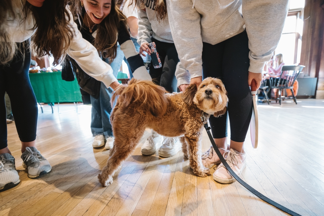 Students petting a dog