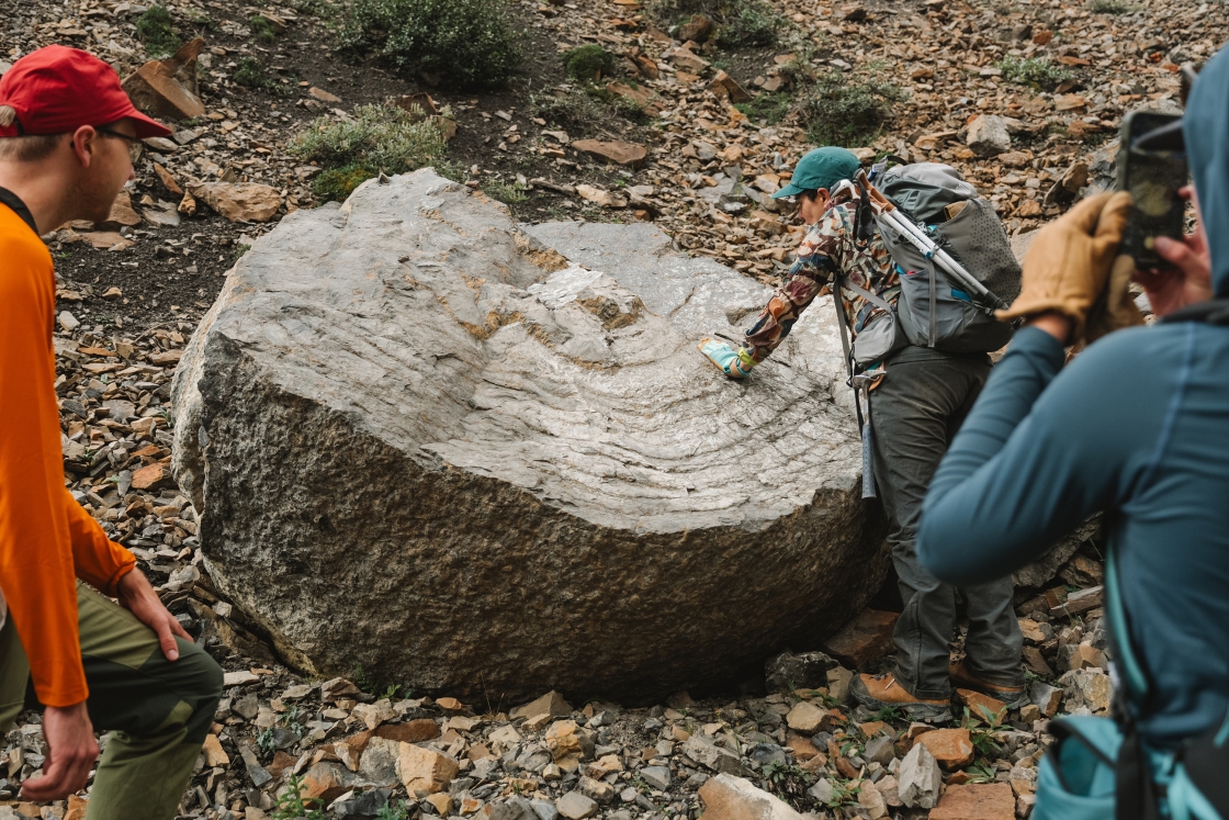 Students and professors examine a stromatolitic