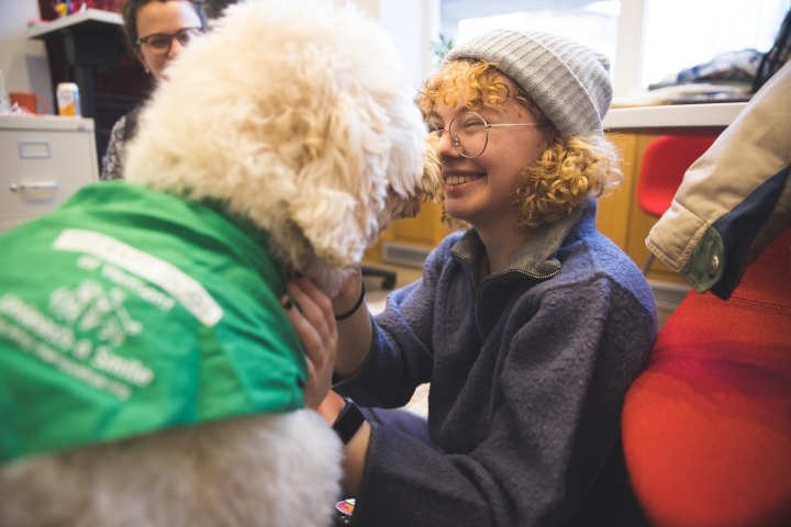 Rosie the goldendoodle with Aurora Wackford '26