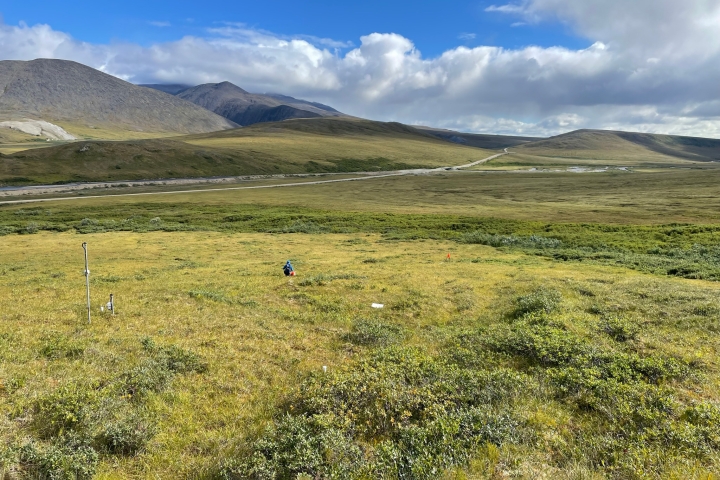 River valley in the Arctic