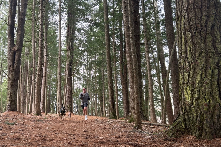 Hanover resident Kevin Clarkson enjoys a run through Pine Park with 2 dogs