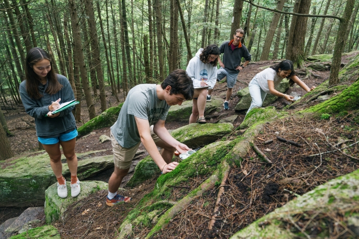 Students surveying moss in the woods