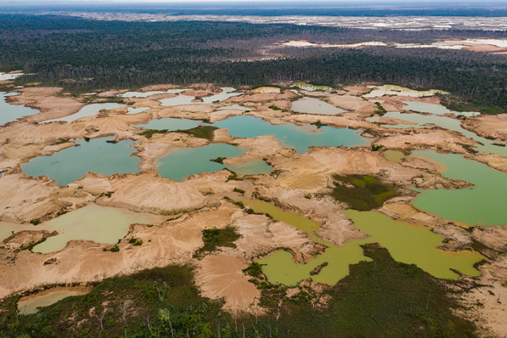  Shallow mining ponds dot the landscape in the La Pampa region of Madre de Dios, Peru. The colors of the ponds reflect suspended sediment and algae growth following the cessation of gold mining. 