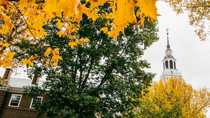 trees with yellow leaves surrounding Baker Tower