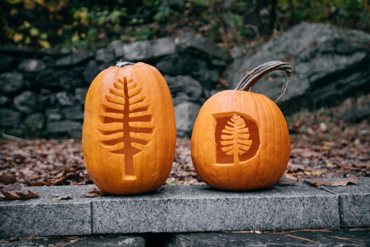 Pumpkins