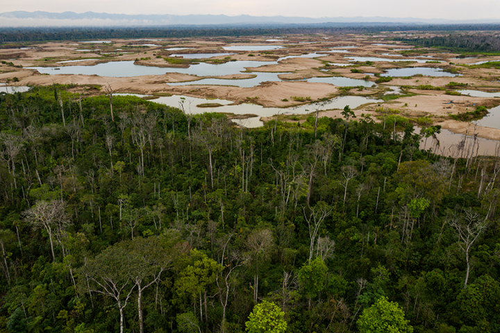 Shallow mining ponds show where the forest once stood in the La Pampa region of Madre de Dios, Peru.