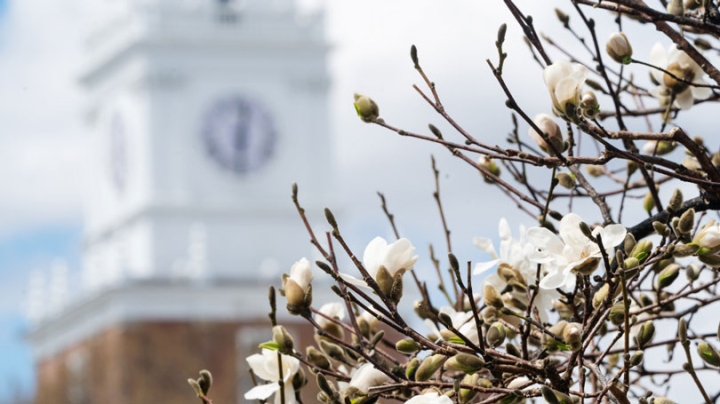Baker Tower flowers
