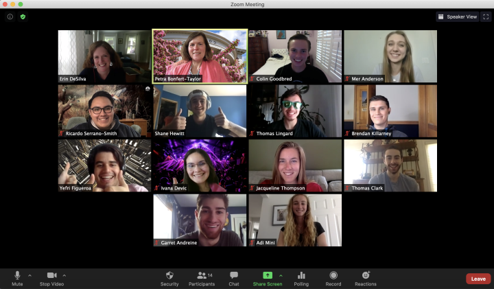 A weekly Zoom "huddle" with Professor Petra Bonfert-Taylor's "ENGS 20" learning fellows and Erin DeSilva, assistant director of Learning Design and Technology.