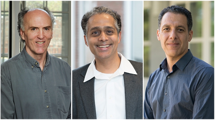Paul Meaney, Rahul Sarpeshkar, and Hany Farid