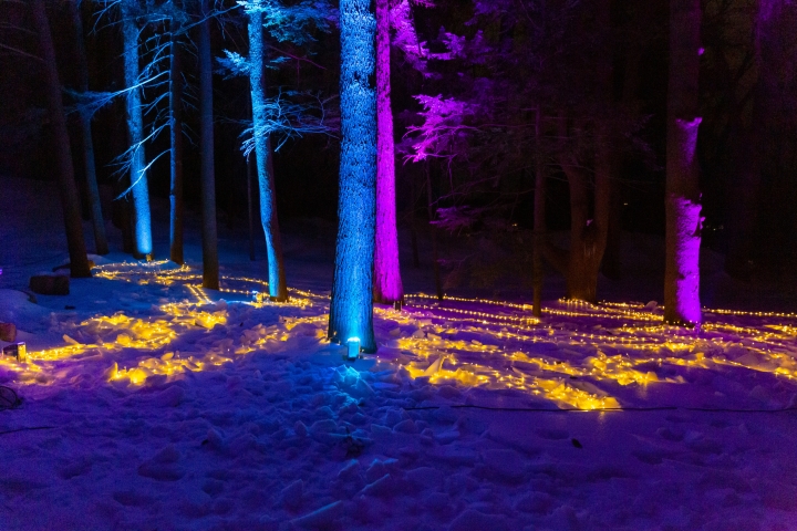Students enjoy Dartmouth's Bema lights