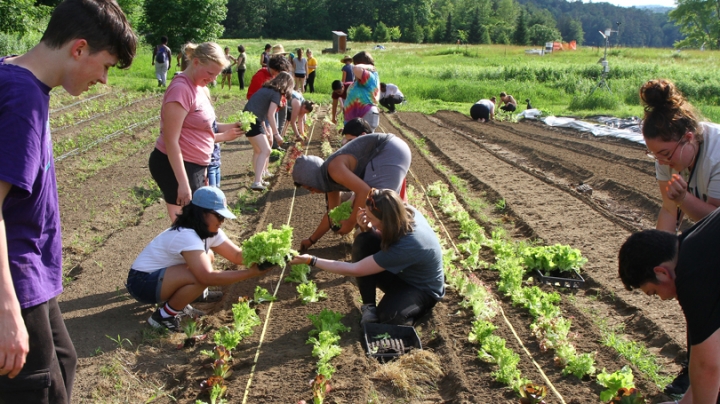 On their last full day on campus, SEAD scholars toured the organic farm, where they planted lettuce, made pizza in a wood-fired oven, and enjoyed an evening bonfire near the river.