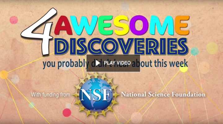 NSF screen shot
