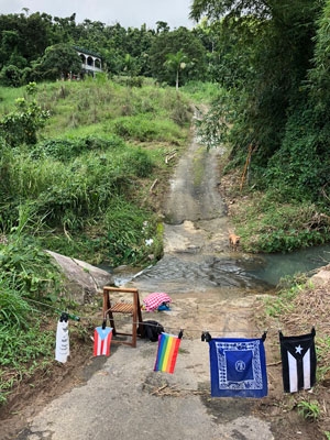 A farm in Puerto Rico